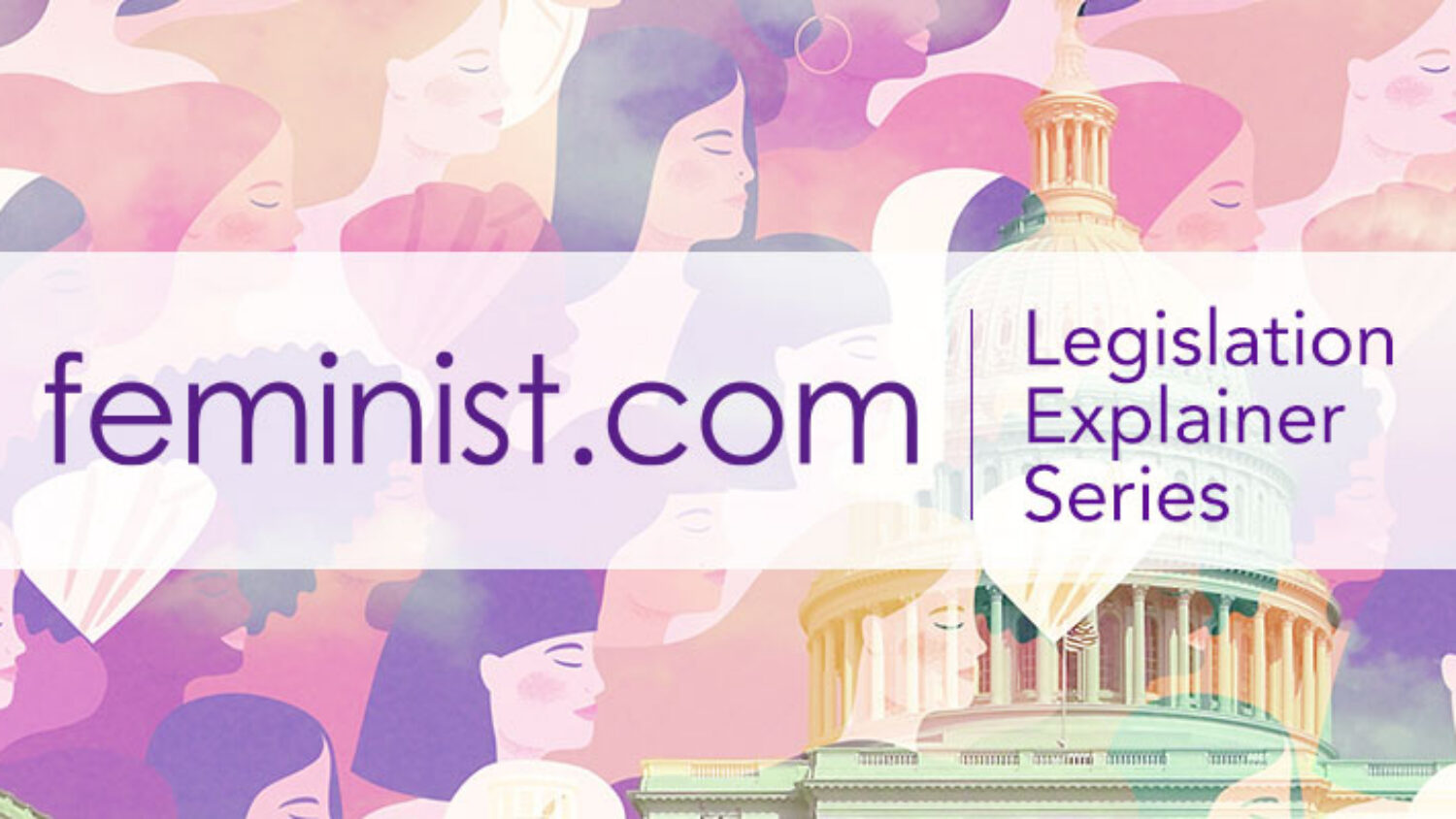 Feminist-Legislation-Short-2024